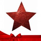 Χριστουγεννιάτικα Αστέρια Ντεκόρ