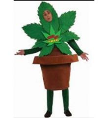 Αποκριάτικη Στολή Χαρούμενο Φυτό