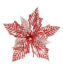 Χριστουγεννιάτικο Λουλούδι Χιονισμένο Κόκκινο (24cm)