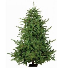 Χριστουγεννιάτικο Παραδοσιακό Δέντρο LN με Ξύλινο Κορμό (1,8m)