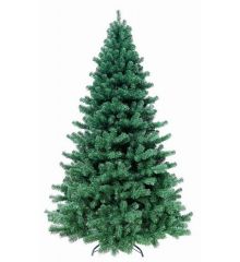 Χριστουγεννιάτικο Παραδοσιακό Δέντρο FRASER FIR (2,1m)