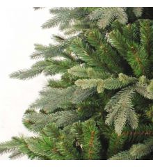 Χριστουγεννιάτικο Παραδοσιακό Δέντρο DEAWARE SILVER FIR (1,8m)