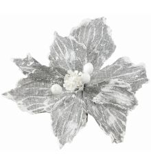 Χριστουγεννιάτικο Λουλούδι, Γκρι Χιονισμένο Αλεξανδρινό (25cm)
