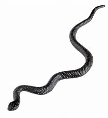 Αποκριάτικο Αξεσουάρ Φίδια Μαύρα - Σετ 12 Τεμαχίων (12cm)