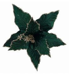 Χριστουγεννιάτικο Λουλούδι, Πράσινο Αλεξανδρινό (25cm)