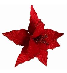 Χριστουγεννιάτικο Λουλούδι, Ιβουάρ Αλεξανδρινό (25cm)