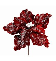 Χριστουγεννιάτικο Λουλούδι, Κόκκινο Αλεξανδρινό (98cm)