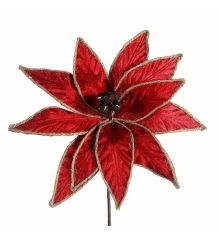 Χριστουγεννιάτικο Λουλούδι, Κόκκινο Αλεξανδρινό (85cm)