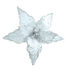 Χριστουγεννιάτικο Λουλούδι, Λευκό Αλεξανδρινό (25cm)