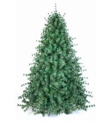 Χριστουγεννιάτικο Παραδοσιακό Δέντρο με Πευκοβελόνες (2,1m)