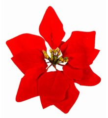 Χριστουγεννιάτικο Λουλούδι Κόκκινο Αλεξανδρινό (22cm)