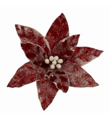 Χριστουγεννιάτικο Λουλούδι Κόκκινο Αλεξανδρινό με Χιόνι