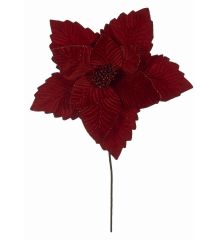 Χριστουγεννιάτικο Λουλούδι Κόκκινο Αλεξανδρινό