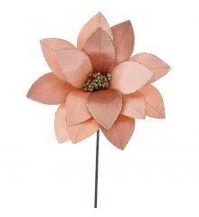 Χριστουγεννιάτικο Λουλούδι Ροζ Αλεξανδρινό (60cm)