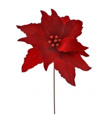 Χριστουγεννιάτικο Λουλούδι Κόκκινο Αλεξανδρινό (60cm)