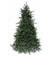 Χριστουγεννιάτικο Παραδοσιακό Δέντρο DEAWARE SILVER FIR (1,8m)