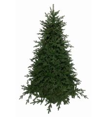Χριστουγεννιάτικο Παραδοσιακό Δέντρο DEAWARE SILVER FIR (2,1m)