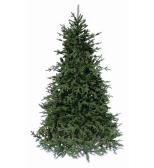 Χριστουγεννιάτικο Παραδοσιακό Δέντρο DEAWARE SILVER FIR (2,4m)