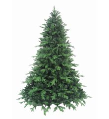Χριστουγεννιάτικο Παραδοσιακό Δέντρο DEAWARE SILVER FIR (2,4m)