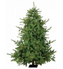 Χριστουγεννιάτικο Παραδοσιακό Δέντρο LN με Ξύλινο Κορμό (2,1m)