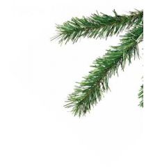 Χριστουγεννιάτικο Παραδοσιακό Δέντρο MONTANA (2,1m)