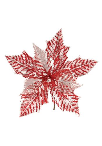 Χριστουγεννιάτικο Λουλούδι Χιονισμένο Κόκκινο (24cm)