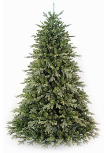 Χριστουγεννιάτικο Παραδοσιακό Δέντρο DEAWARE SILVER FIR (2,1m)