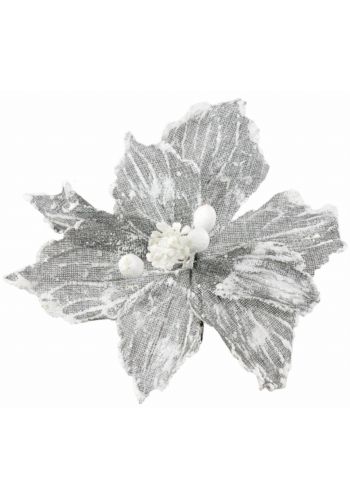 Χριστουγεννιάτικο Λουλούδι, Γκρι Χιονισμένο Αλεξανδρινό (25cm)