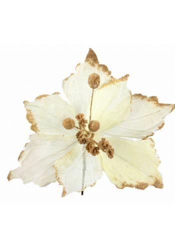 Χριστουγεννιάτικο Λουλούδι, Άσπρο Αλεξανδρινό (25cm)
