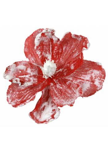 Χριστουγεννιάτικο Λουλούδι, Κόκκινη Χιονισμένη Μανώλια (25cm)