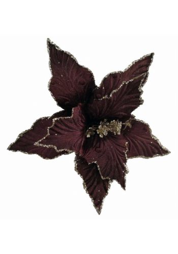 Χριστουγεννιάτικο Λουλούδι, Μελιζτανί Αλεξανδρινό (25cm)