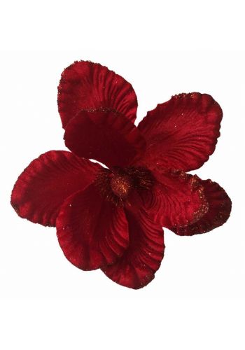 Χριστουγεννιάτικο Λουλούδι, Κόκκινο Μανώλια (25cm)