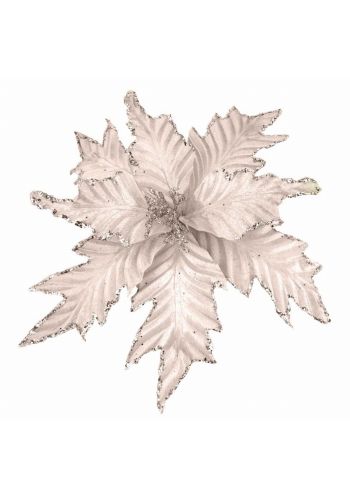 Χριστουγεννιάτικο Λουλούδι, Καραμελέ Αλεξανδρινό (25cm)