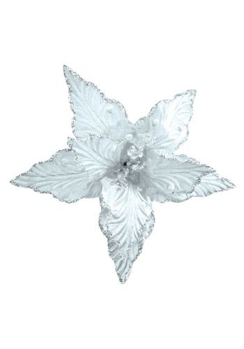 Χριστουγεννιάτικο Λουλούδι, Λευκό Αλεξανδρινό (25cm)