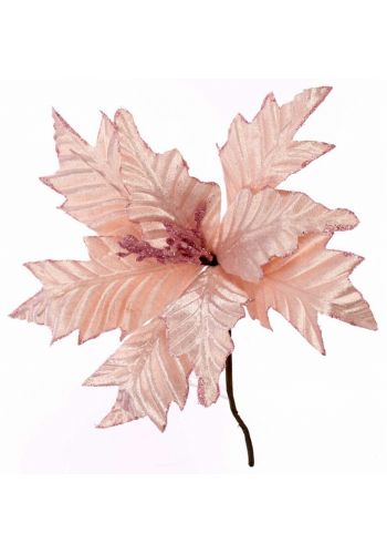 Χριστουγεννιάτικο Λουλούδι Ροζ Αλεξανδρινό (24cm)