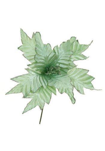 Χριστουγεννιάτικο Λουλούδι Πράσινο Αλεξανδρινό (25cm)