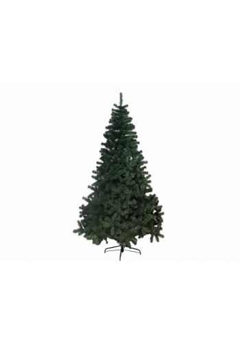 Χριστουγεννιάτικο Δέντρο Berkshire Mountain Fir (1,80m)