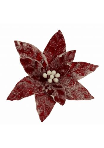 Χριστουγεννιάτικο Λουλούδι Κόκκινο Αλεξανδρινό με Χιόνι