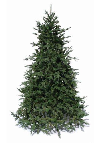 Χριστουγεννιάτικο Παραδοσιακό Δέντρο DEAWARE SILVER FIR (1,8m)