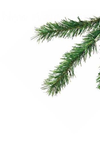 Χριστουγεννιάτικο Παραδοσιακό Δέντρο MONTANA (2,4m)