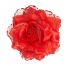 Αποκριάτικο Κόκκινο Τριαντάφυλλο για το Μαλλί