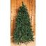 Χριστουγεννιάτικο Παραδοσιακό Δέντρο SABLEFIR (1,8m)