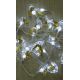 30 Λευκά Ψυχρά Φωτάκια LED, με Ακρυλικά Αγγελάκια (3m)