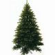 Χριστουγεννιάτικο Δέντρο Πίνδος (3m)