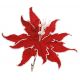 Χριστουγεννιάτικο Λουλούδι Κόκκινο Αλεξανδρινό (27cm)