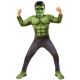 Αποκριάτικη Στολή Marvel Avengers 4 Hulk Deluxe