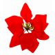 Χριστουγεννιάτικο Λουλούδι Κόκκινο Αλεξανδρινό (22cm)