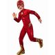 Αποκριάτικη Στολή Flash Movie